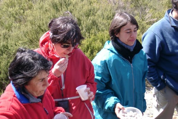 Foto 33 da atividade Galeria de Fotos