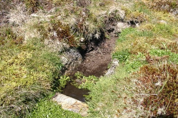 Foto 20 da atividade Galeria de Fotos