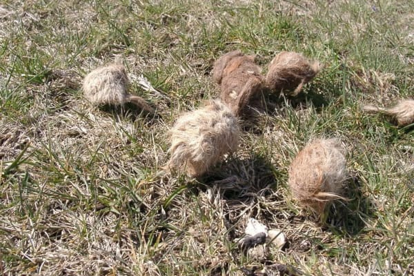 Foto 8 da atividade Galeria de Fotos