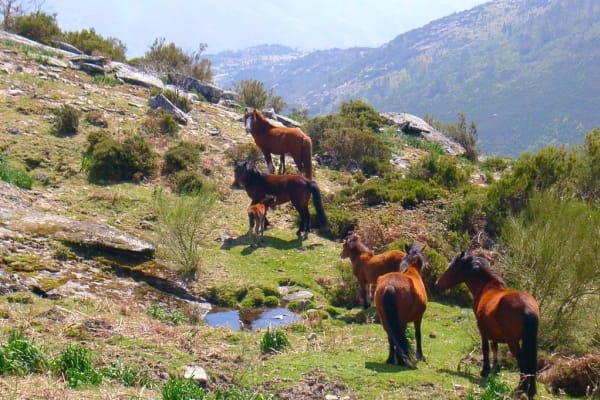 Foto 1 da atividade Galeria de Fotos