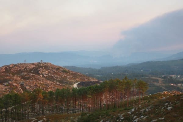 Foto 5 da atividade Galeria de Fotos