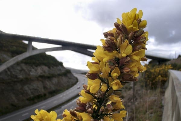 Foto 63 da atividade Galeria de Fotos