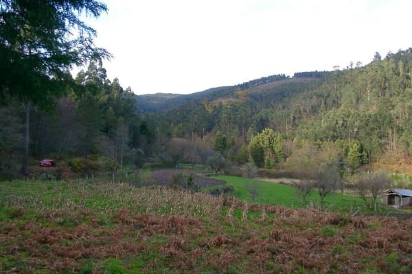 Foto 64 da atividade Galeria de Fotos