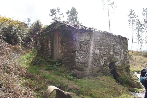 Foto 46 da atividade Galeria de Fotos