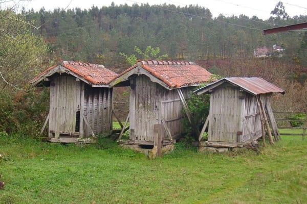 Foto 40 da atividade Galeria de Fotos