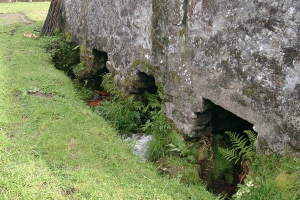 Foto 31 da atividade Galeria de Fotos