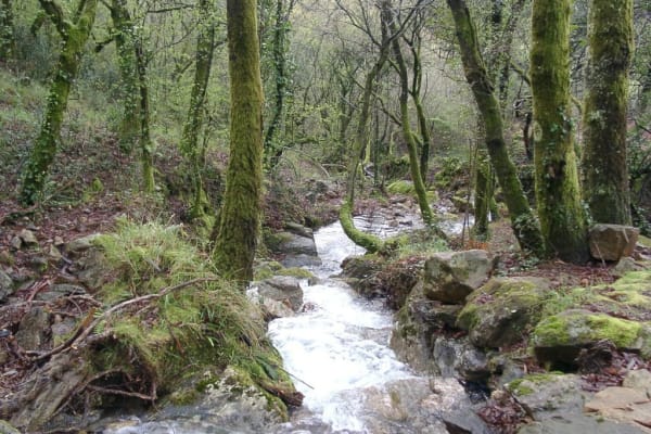 Foto 15 da atividade Galeria de Fotos