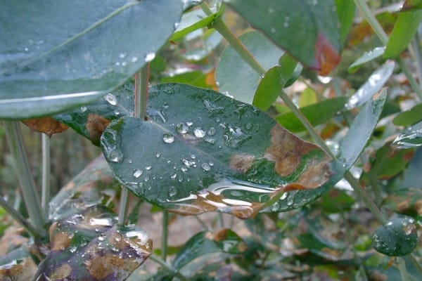 Foto 10 da atividade Galeria de Fotos