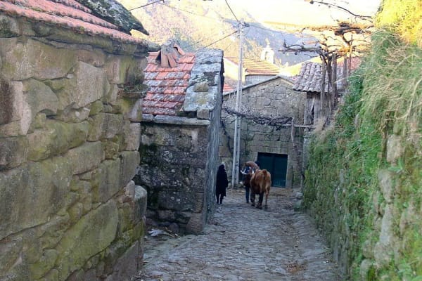 Foto 81 da atividade Galeria de Fotos