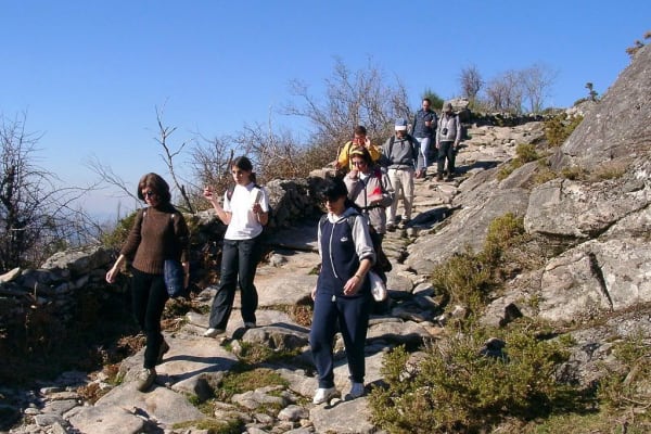 Foto 70 da atividade Galeria de Fotos