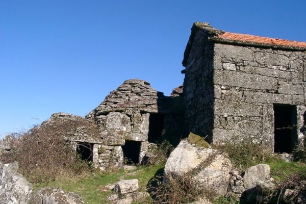 Foto 64 da atividade Galeria de Fotos