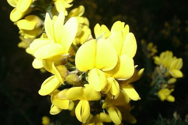 Foto 57 da atividade Galeria de Fotos