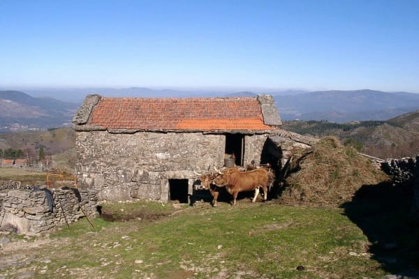 Foto 12 da atividade Galeria de Fotos