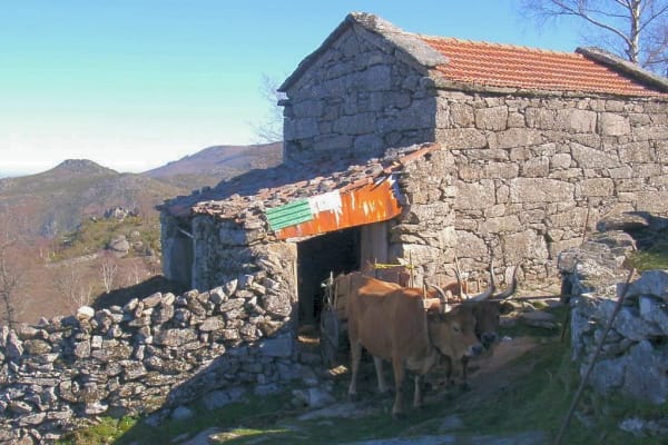 Foto 7 da atividade Galeria de Fotos