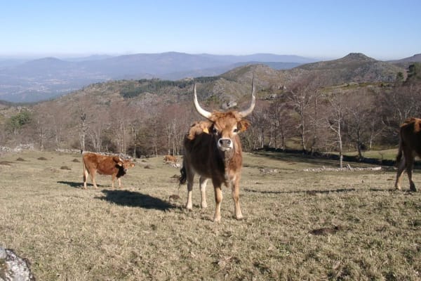 Foto 8 da atividade Galeria de Fotos