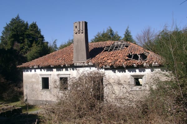 Foto 187 da atividade Galeria de Fotos