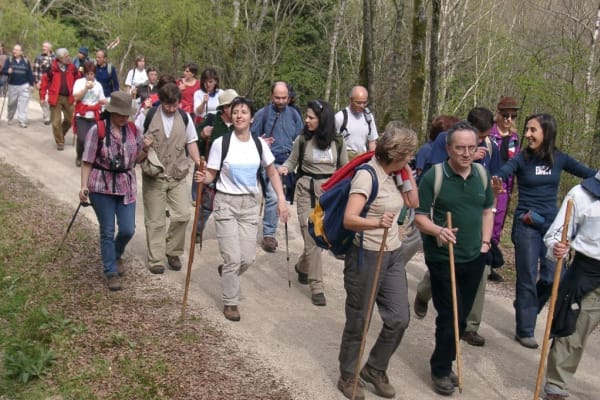 Foto 87 da atividade Galeria de Fotos