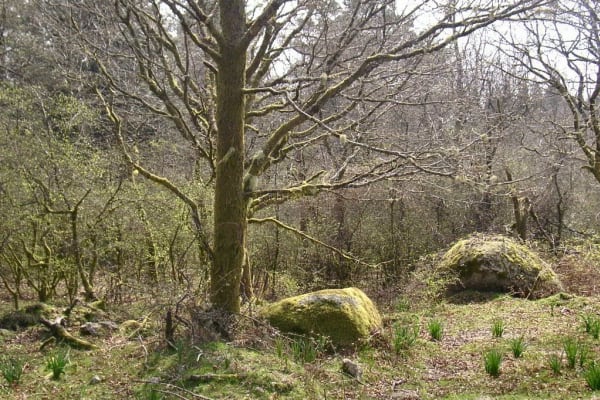 Foto 31 da atividade Galeria de Fotos