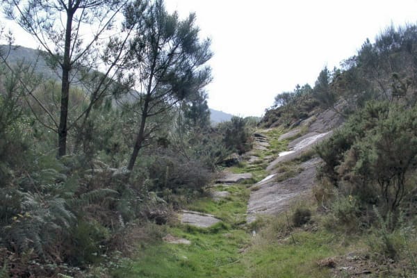 Foto 89 da atividade Galeria de Fotos