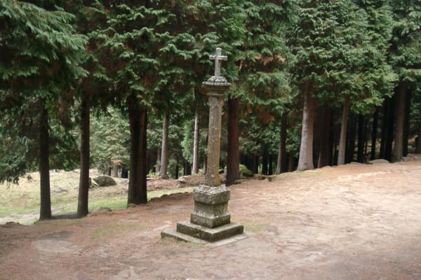 Foto 81 da atividade Galeria de Fotos