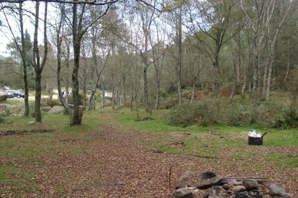 Foto 76 da atividade Galeria de Fotos