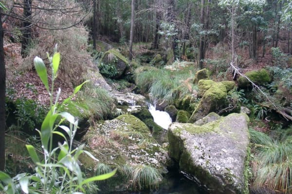 Foto 64 da atividade Galeria de Fotos