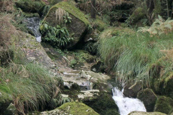 Foto 61 da atividade Galeria de Fotos