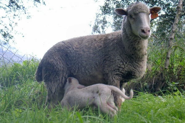 Foto 48 da atividade Galeria de Fotos