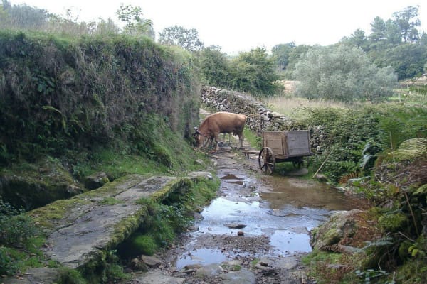 Foto 25 da atividade Galeria de Fotos