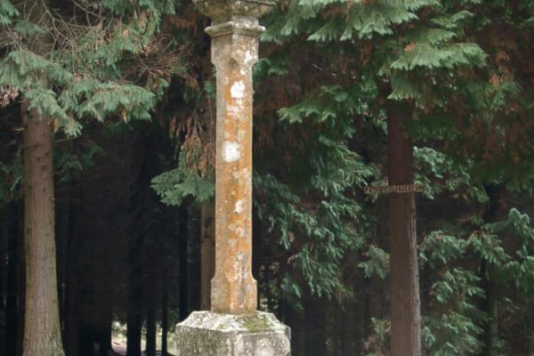 Foto 23 da atividade Galeria de Fotos