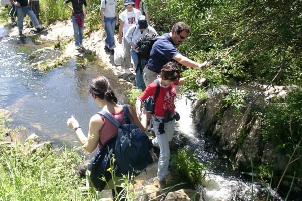 Foto 51 da atividade Galeria de Fotos