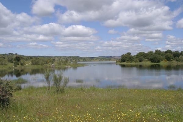 Foto 45 da atividade Galeria de Fotos