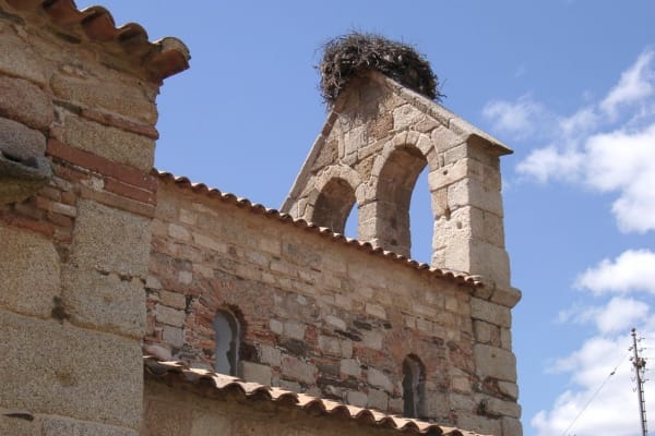 Foto 43 da atividade Galeria de Fotos