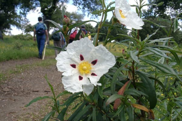 Foto 36 da atividade Galeria de Fotos