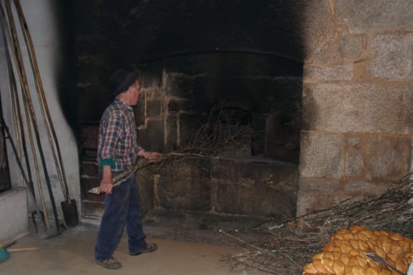 Foto 22 da atividade Galeria de Fotos