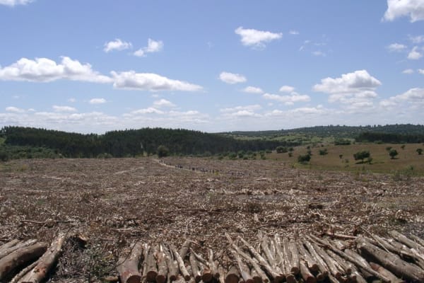 Foto 15 da atividade Galeria de Fotos