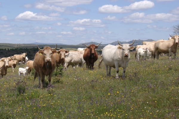 Foto 10 da atividade Galeria de Fotos