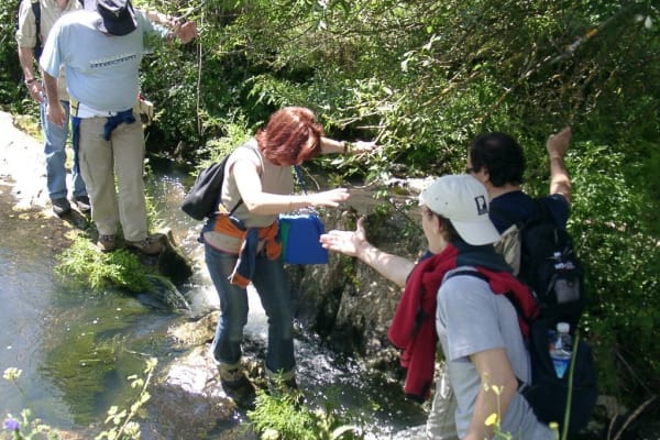 Foto 8 da atividade Galeria de Fotos