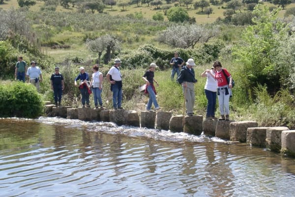 Foto 6 da atividade Galeria de Fotos