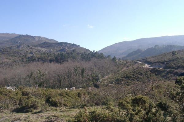 Foto 113 da atividade Galeria de Fotos