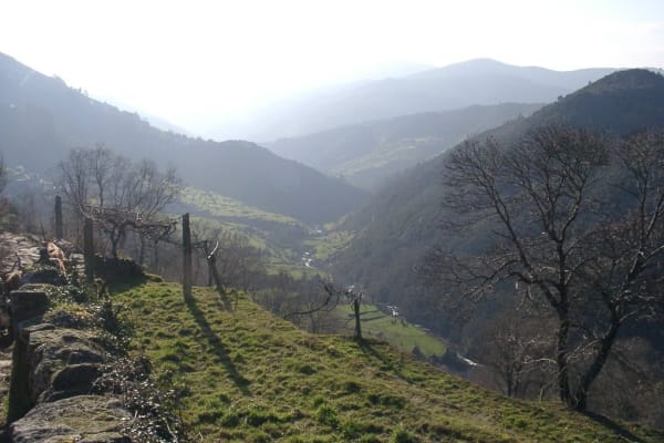 Foto 100 da atividade Galeria de Fotos