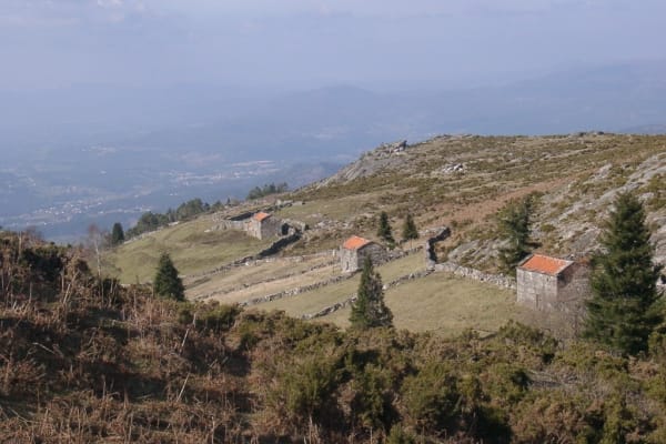 Foto 97 da atividade Galeria de Fotos