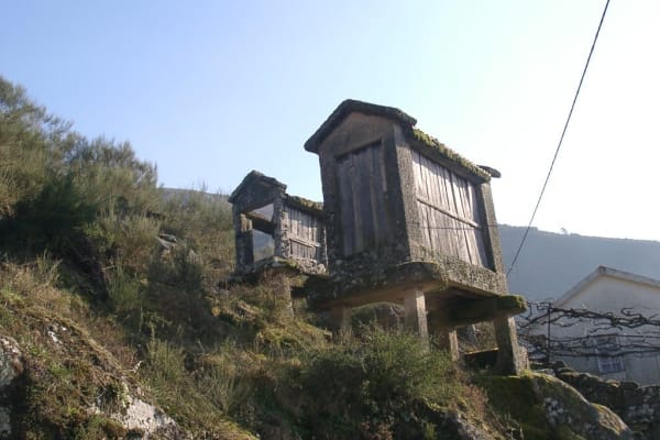 Foto 82 da atividade Galeria de Fotos