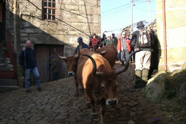 Foto 79 da atividade Galeria de Fotos