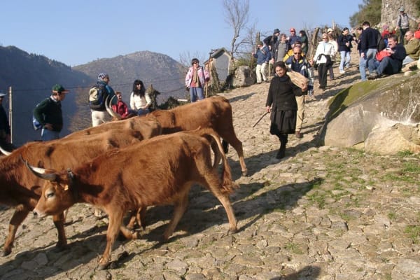 Foto 72 da atividade Galeria de Fotos