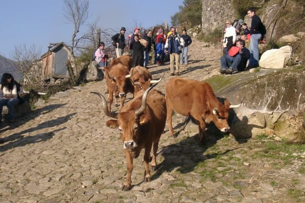 Foto 61 da atividade Galeria de Fotos