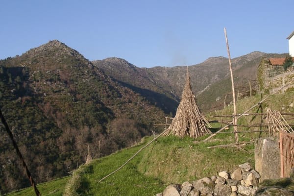 Foto 49 da atividade Galeria de Fotos