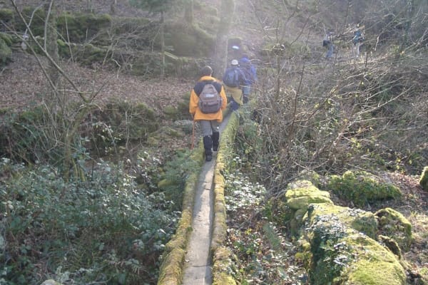 Foto 42 da atividade Galeria de Fotos