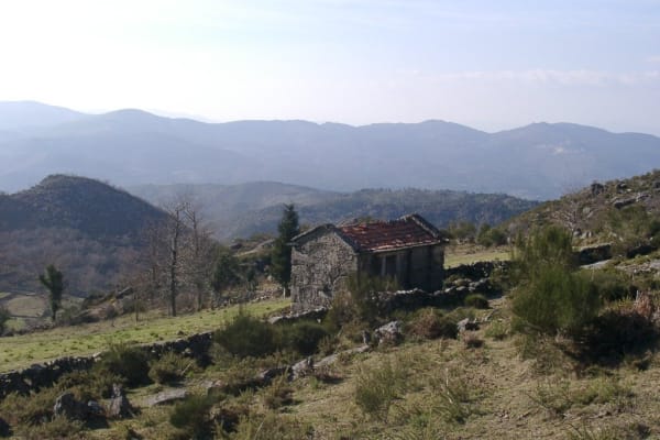 Foto 41 da atividade Galeria de Fotos