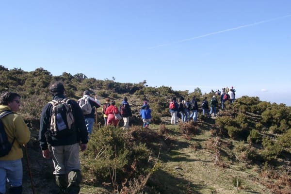 Foto 37 da atividade Galeria de Fotos